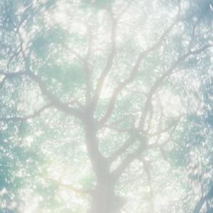 人妻少妇精品无码
